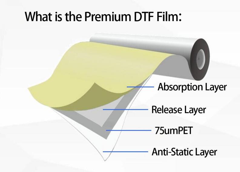 Premium Double Matte DTF Film: 24” x 328’ Roll, 85μ Thickness